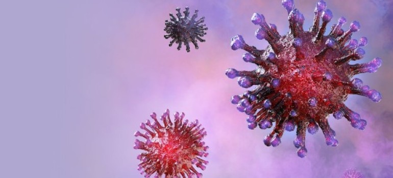 Infekcje wirusowe – aktualny problem zdrowotny